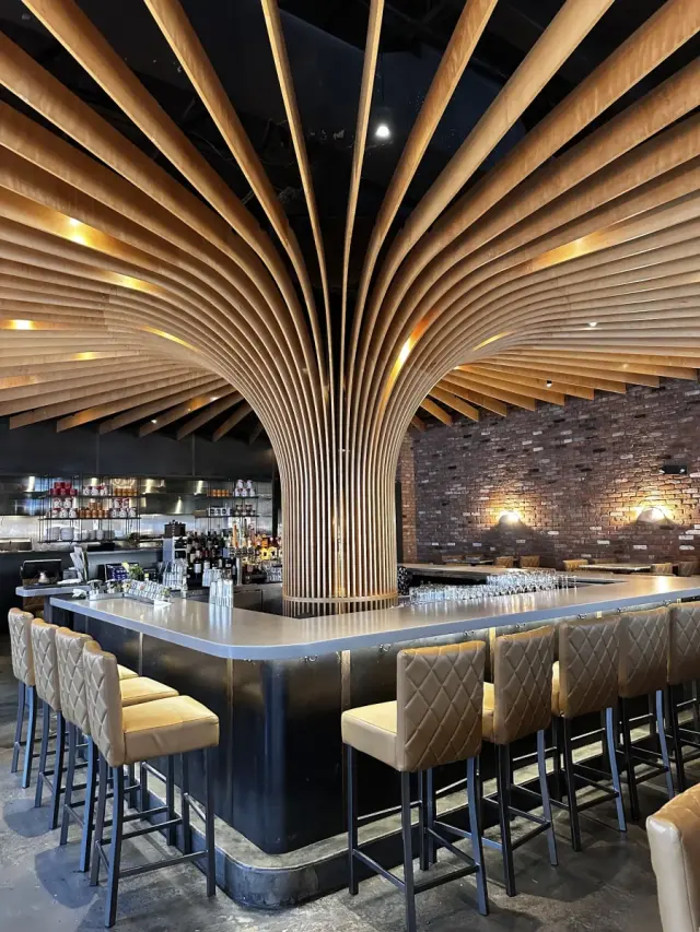 CO, Park Road, Charlotte, happy hour venue
