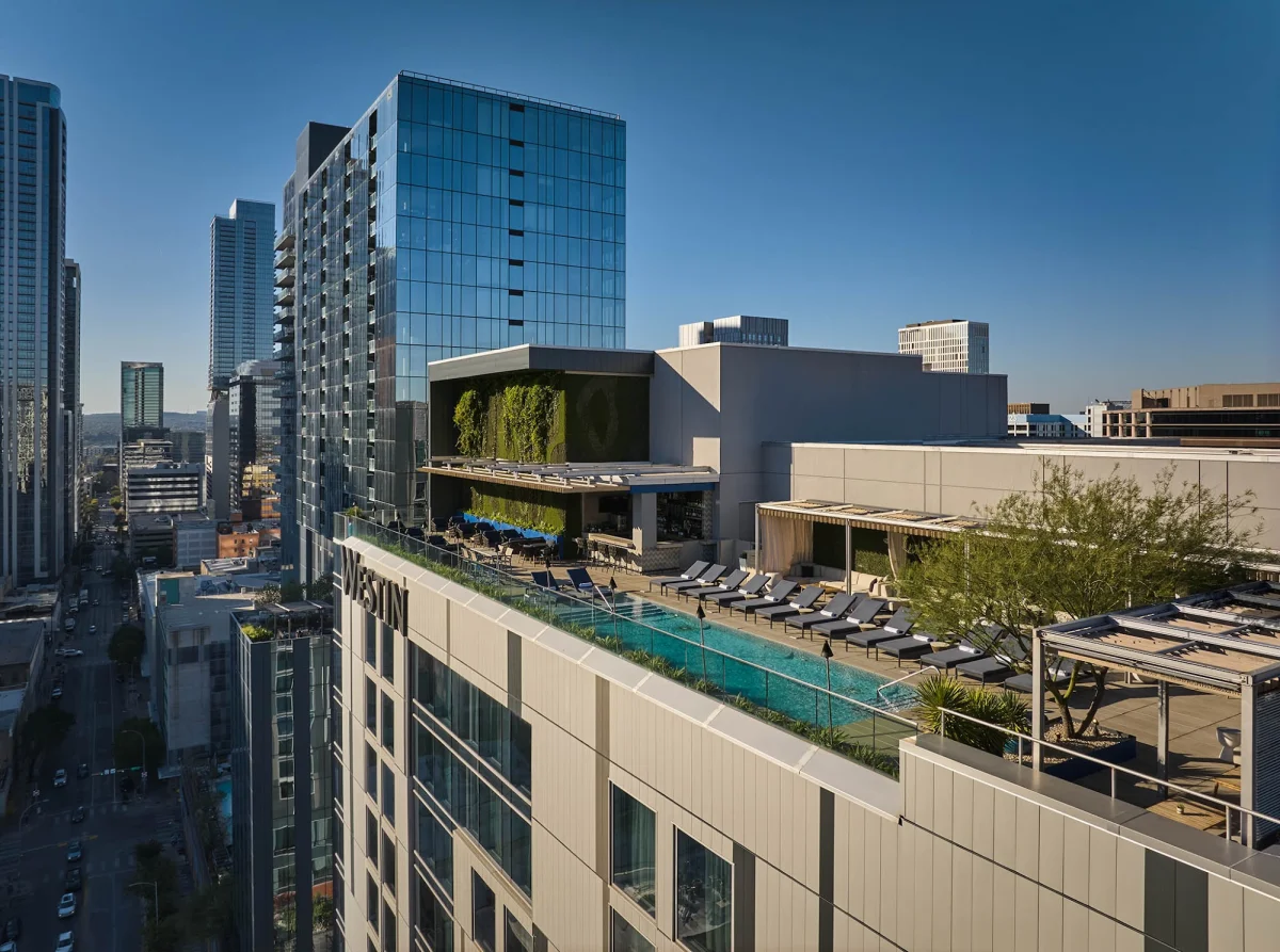 Rooftop Pool Area