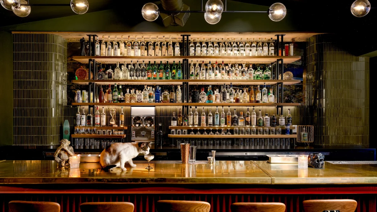 Seven Spirits, East Austin, Austin, happy hour venue