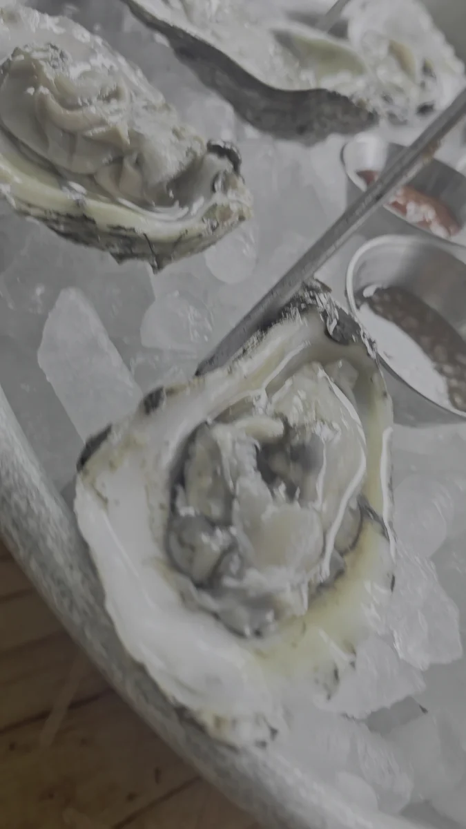 Gulf Oysters on Ice