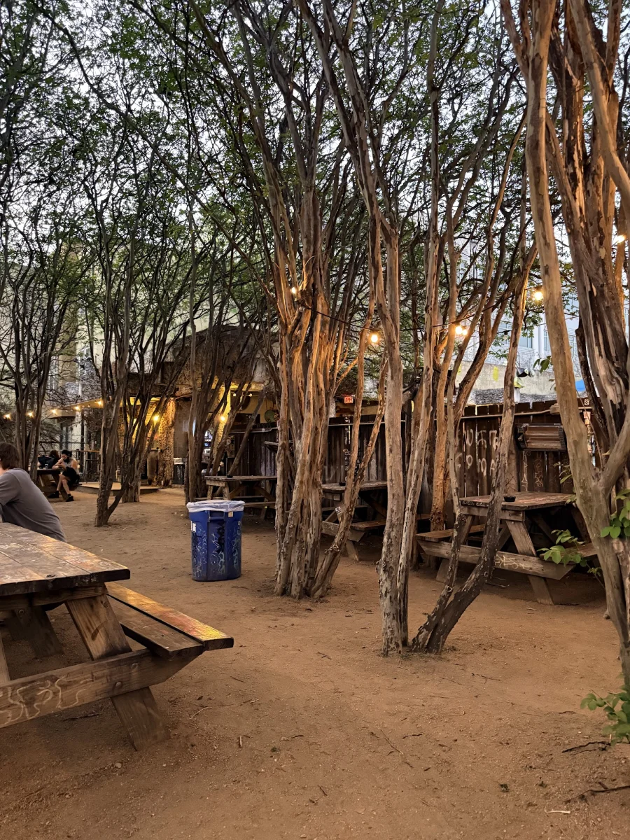 Rustic Bar Interior