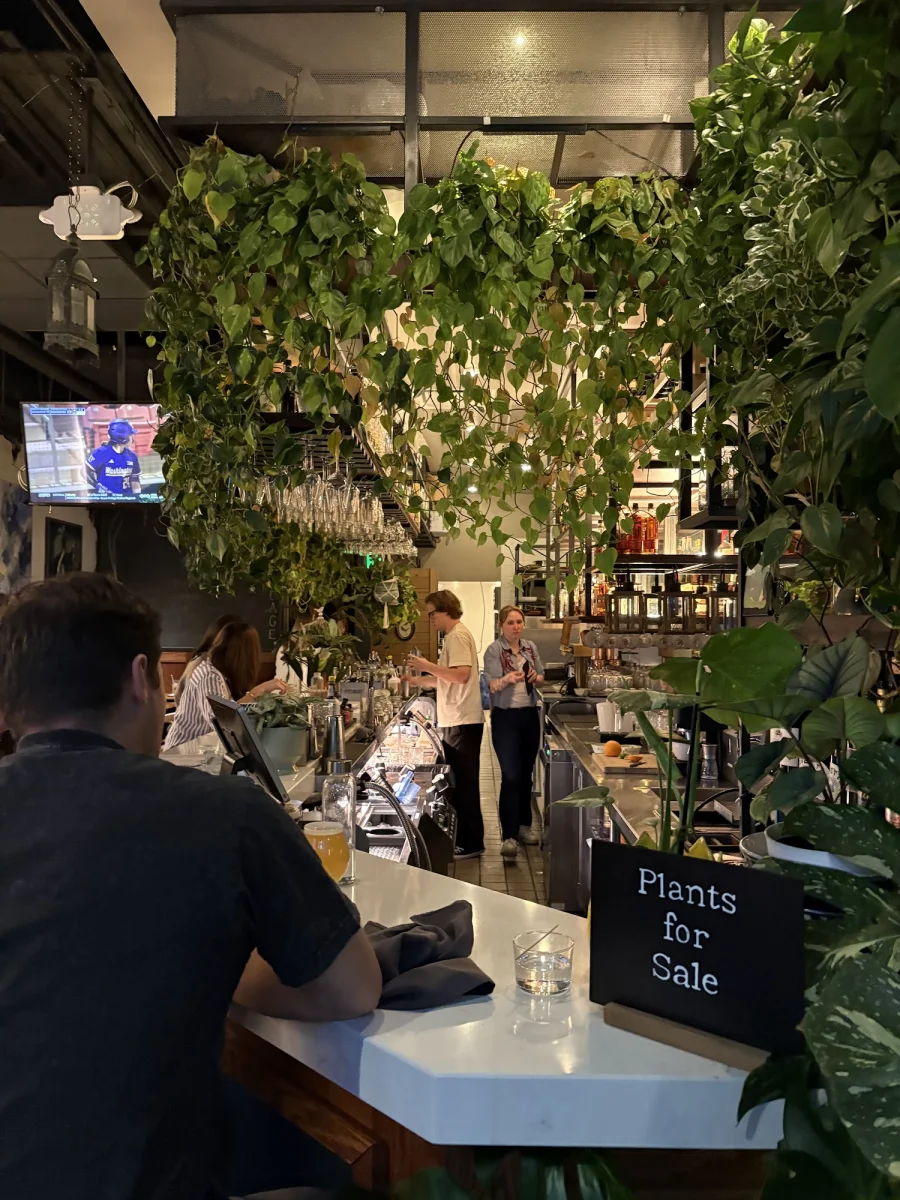 Plant Filled Interior